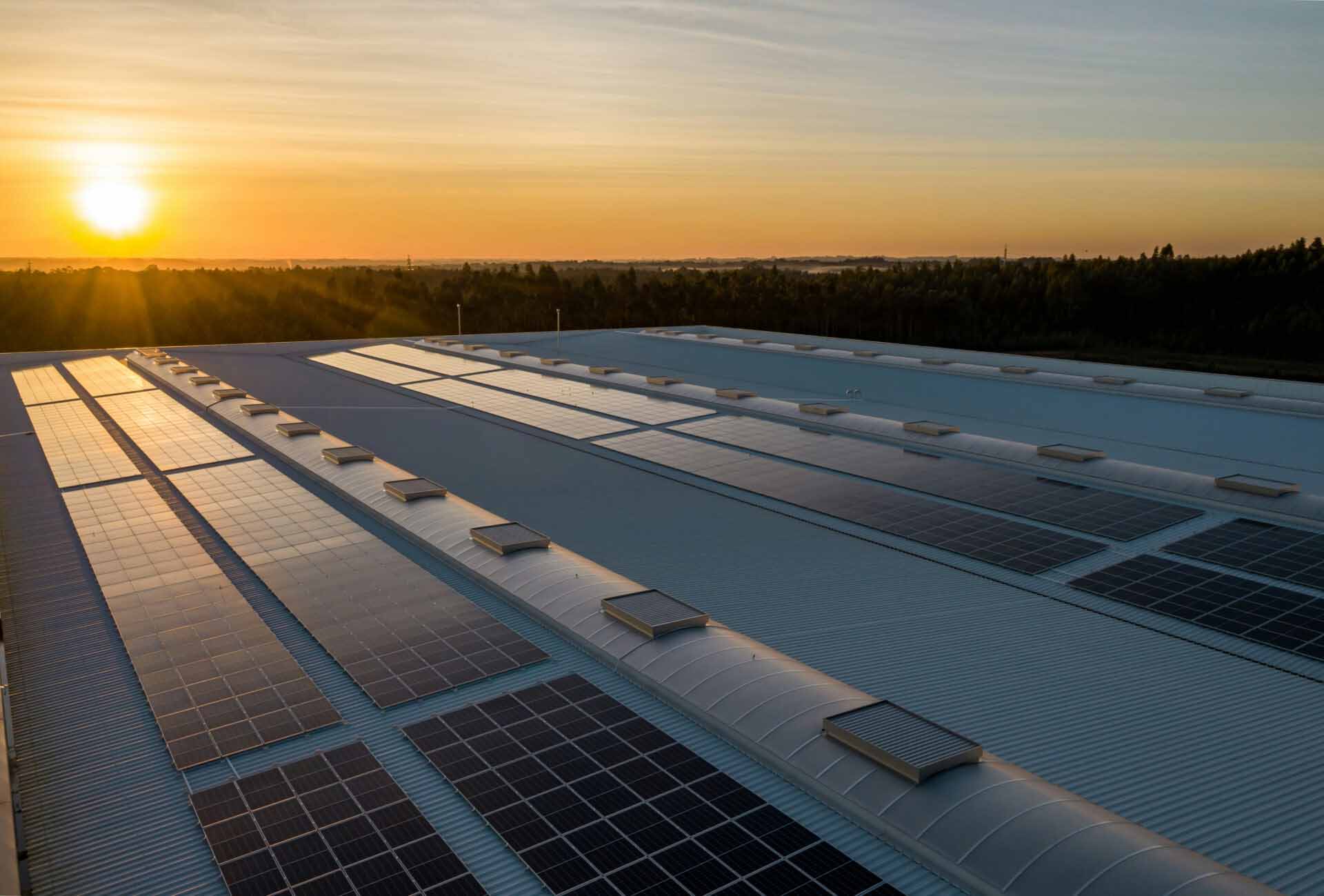 Large-scale solar panel installation on an industrial rooftop at sunrise with forested landscape in the background