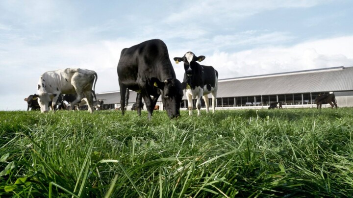 ](https://2-0-lca.com/wp-content/uploads/2014/05/ARLA-2-FarmAhead-press-image-720x404.jpg%22,%22custom-attributes%22:%5B%7B%22name%22:%22alt%22,%22value%22:%22)Arla Foods dairy emissions &rdquo;FarmAhead&trade; Check&rdquo; tool