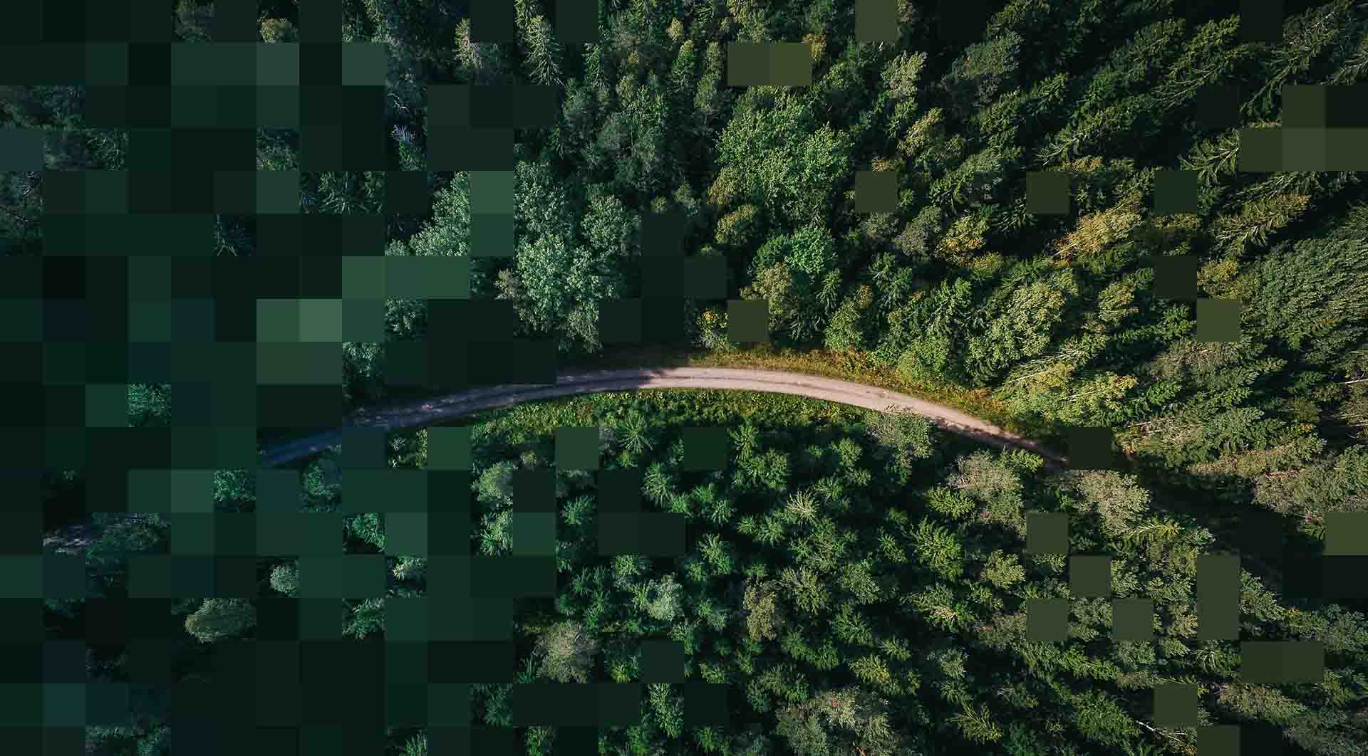 Aerial view of winding road through dense forest, representing sustainable infrastructure and life cycle assessment for driving sustainable decision-making