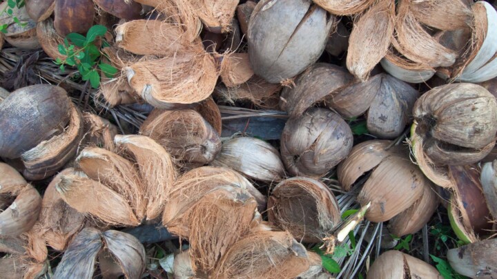 Greenhouse-gas (GHG) emissions and sustainability credentials of coconut shell-based products