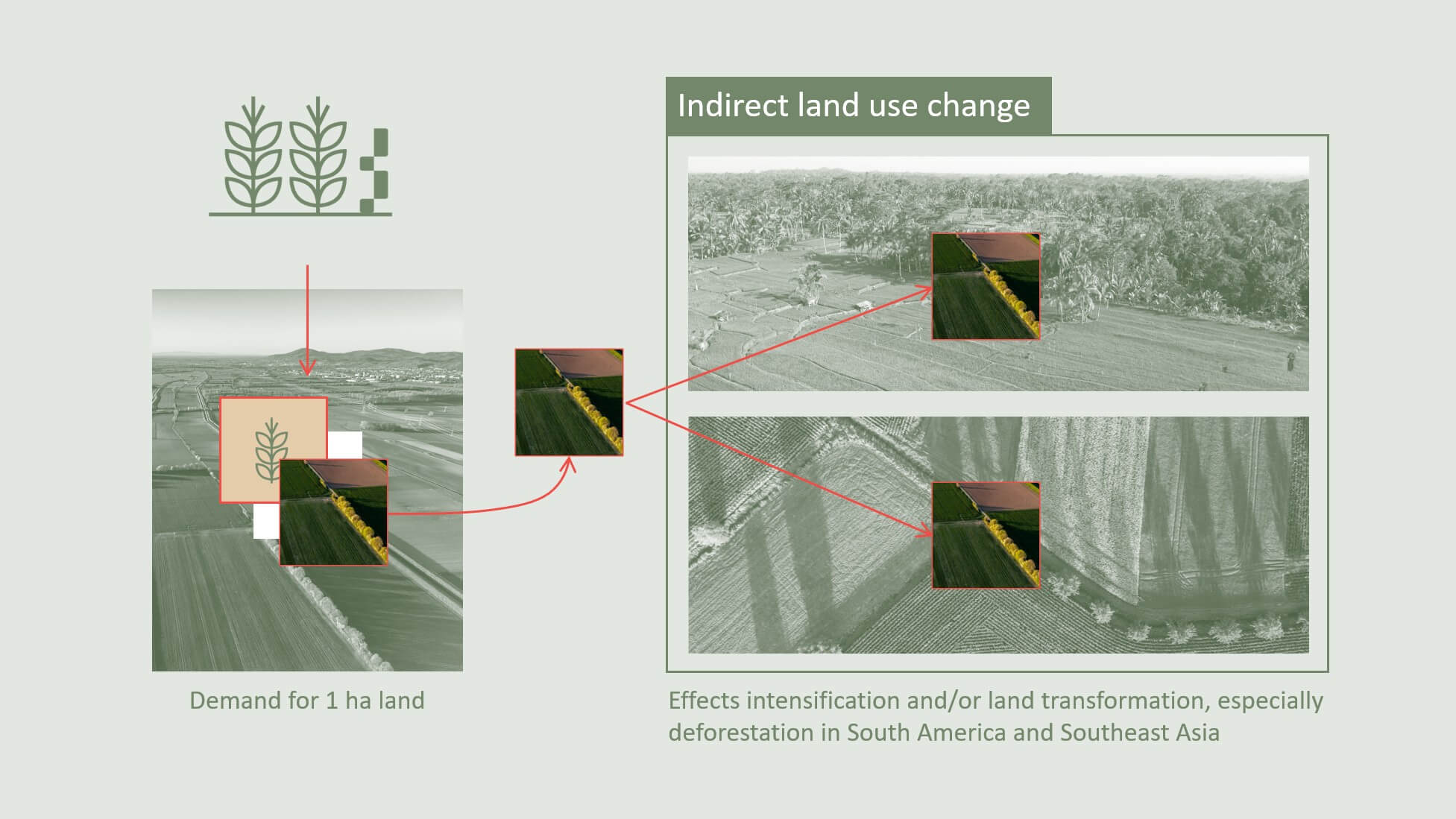 Diagram of indirect land-use change: demand for one hectare of land drives intensification and deforestation in South America and Southeast Asia.