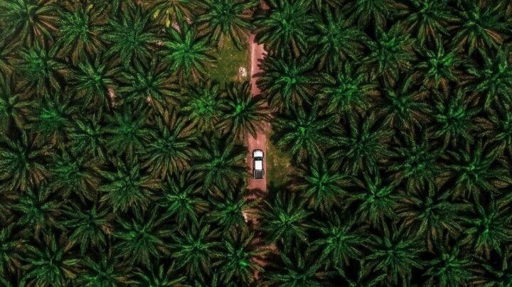 Life Cycle Assessment of RSPO Certified Palm Oil Phase II