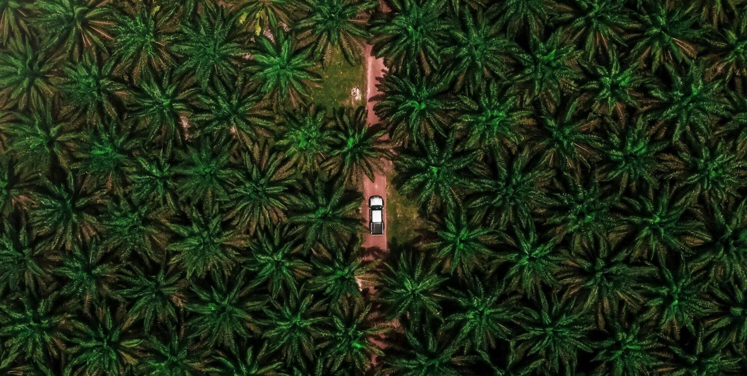 Aerial view of vehicle traversing palm oil plantation illustrating field data collection for Life Cycle Assessment and sustainable agriculture evaluation