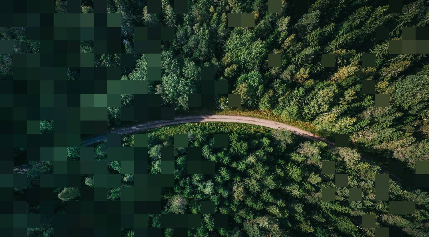 Aerial view of a winding road through dense forest, illustrating the relationship between business activities, value chains and the environment.